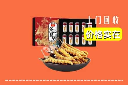 泰州市靖江回收冬虫夏草