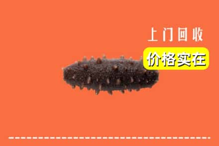 泰州市靖江回收海参