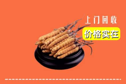泰州市靖江回收冬虫夏草